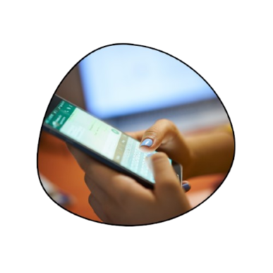 WhatsApp Verified Bulk Messaging Service