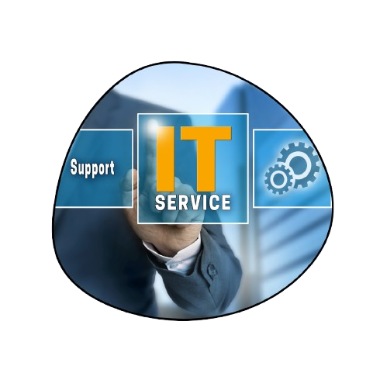 AMC & Technical Support Services